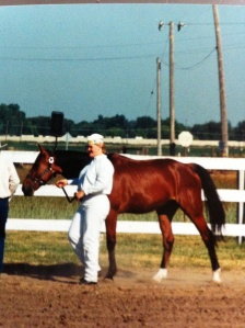 One of our first rescues in a halter class 1996